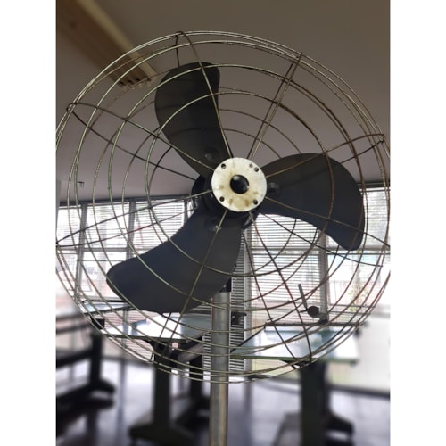 Produto imagem - 6f2f658d-79e3-4df0-86bd-939e4594fa33